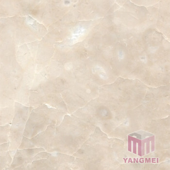 Cream Beige