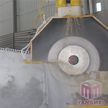 Processing Facilities