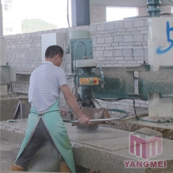 Processing Facilities