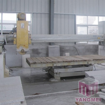 Processing Facilities