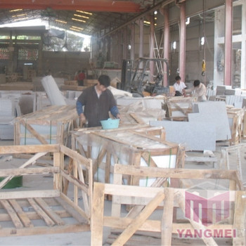 Processing Facilities