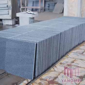 Processing Facilities