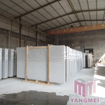 Processing Facilties