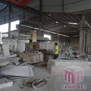 Processing Facilties