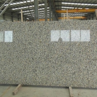 Deluxe Gold（G685）