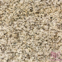 Golden Diamind Polished