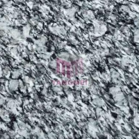 Spary White Granite