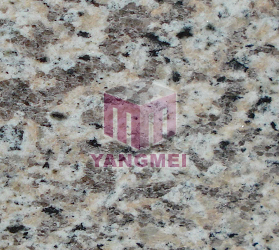 Tiger Skin Red Granite