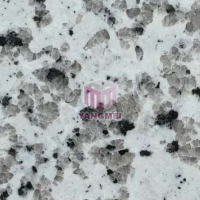 G439 White Granite