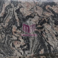 Multicolor Red Granite Stone