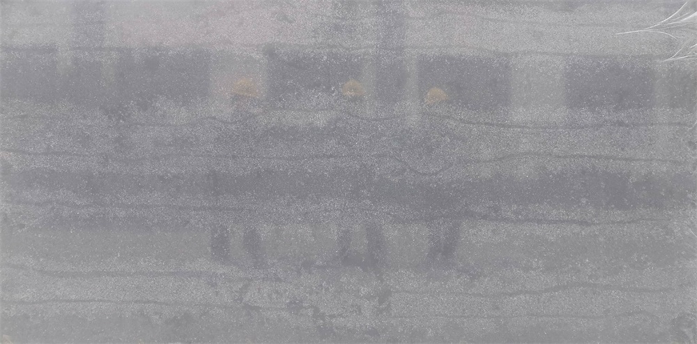 YM8160